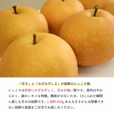 長野県飯島町の画像2