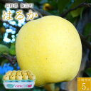 【ふるさと納税】【桃沢晴香園】はるか(りんご)5kg【配送不可地域:離島・沖縄県】【1606258】