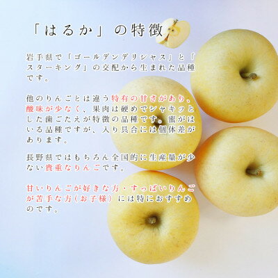 長野県飯島町の画像2