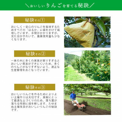 長野県飯島町の画像3