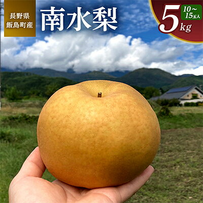 【ふるさと納税】南水 5kg 長野県飯島町産【1632054】