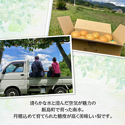 【ふるさと納税】南水 5kg 長野県飯島町産【1632054】