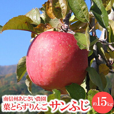 葉とらずりんご サンふじ 約15kg【1727705】
