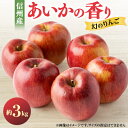 【ふるさと納税】2025年!甘い!幻のりんご【あいかの香り】約3kg 信州のりんご_ りんご 林檎 果物 くだもの フルーツ あいかの香り 長野県 産地直送 送...