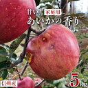 【ふるさと納税】【2024年】＜家庭用＞甘い!希少!りんご　