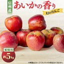 【ふるさと納税】【2024年】＜家庭用＞甘い 希少 りんご あいかの香り 5キロセット【1061788】