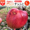 【ふるさと納税】2025年!信州のりんご【サンふじ】訳あり 約5kg 家庭用【1136049】