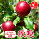 【ふるさと納税】2025年!信州のりんご【秋映】約3kg_ りんご リンゴ 秋映 あきばえ 林檎 約3kg 長野 長野県 信州産 果物 くだもの フルーツ デザート おやつ 果実 青果 甘味 酸味 国産 産直 産地直送 贈答 ギフト プレゼント 送料無料 【1230064】(4)
