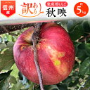 【ふるさと納税】2025年!信州のりんご【秋映】訳あり 約5kg 家庭用_ りんご リンゴ 秋映 訳あり あきばえ 林檎 約5kg 長野 長野県 信州 果物 く...