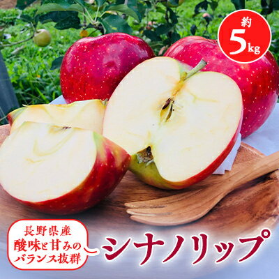 【ふるさと納税】2025年夏!りんご新品種【シナノリップ】約5kg 酸味と甘みのバランス抜群_ りんご 林檎 果物 くだもの フルーツ 新品種 シナノリップ 人気 おすすめ 送料無料 長野 信州 冷蔵 夏 贈答 ギフト 【配送不可地域:離島】【1401201】 【ふるさと納税】2025年夏!りんご新品種【シナノリップ】約5kg 酸味と甘みのバランス抜群_ りんご 林檎 果物 くだもの フルーツ 新品種 シナノリップ 人気 おすすめ 送料無料 長野 信州 冷蔵 夏 贈答 ギフト 【配送不可地域:離島】【1401201】