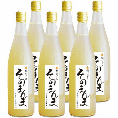 飲む梨!! 信州産　高級南水梨100%そのまんまジュース6本入　高い糖度の南水梨を使用【1470255】