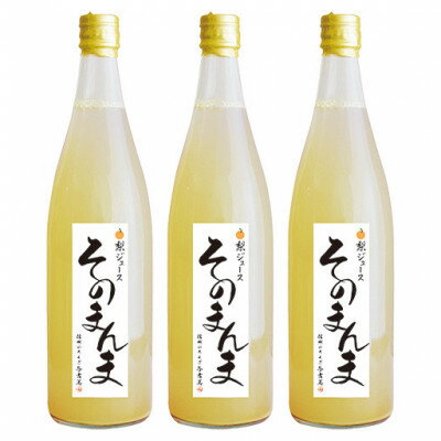 【ふるさと納税】飲む梨!! 信州産　高級南水梨100%そのま