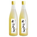 【ふるさと納税】飲む梨!! 信州産　高級南水梨100%そのま