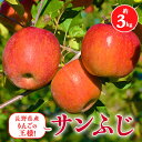 【ふるさと納税】2025年!信州のりんご【サンふじ】約3kg_ りんご サンふじ 林檎 リンゴ 長野県 信州産 ふじ ふじリンゴ さんふじ サンフジ 果物 くだ...