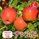 13位! 口コミ数「0件」評価「0」【2024年11月中旬より順次発送】信州のりんご サンふじ 約3kg【1483023】