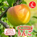 【ふるさと納税】【2025年】信州のりんご 品種おまかせ 約3kg_ りんご リンゴ 林檎 信州産 品種おまかせ おまかせ 約3kg 長野 長野県 果物 くだも...