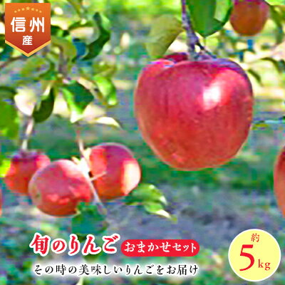 【2024年】信州のりんご　おまかせ　約5キロセット【1041422】
