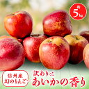 【ふるさと納税】2025年【傷等訳あり】甘い!希少!りんご【あいかの香り】約5kg 信州のりんご_ りんご 林檎 訳あり 果物 くだもの フルーツ 家庭用 あいかの香り 長野県 産地直送 送料無料 お取り寄せ 希少 傷 規格外 不揃い 信州 【1061788】