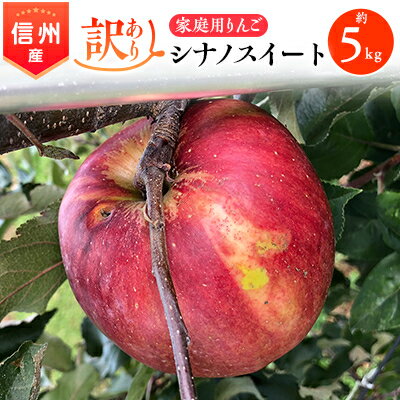 【ふるさと納税】2025年!信州のりんご【シナノスイート】訳あり 約5kg 家庭用_ りんご リンゴ シナノスイート 訳あり 林檎 長野県 信州 しなのスイート シナノ 果物 くだもの フルーツ デザート 傷 規格外 わけあり 国産 産直 産地直送 家庭用 自宅用 送料無料 【1230235】 【ふるさと納税】2025年!信州のりんご【シナノスイート】訳あり 約5kg 家庭用_ りんご リンゴ シナノスイート 訳あり 林檎 長野県 信州 しなのスイート シナノ 果物 くだもの フルーツ デザート 傷 規格外 わけあり 国産 産直 産地直送 家庭用 自宅用 送料無料 【1230235】