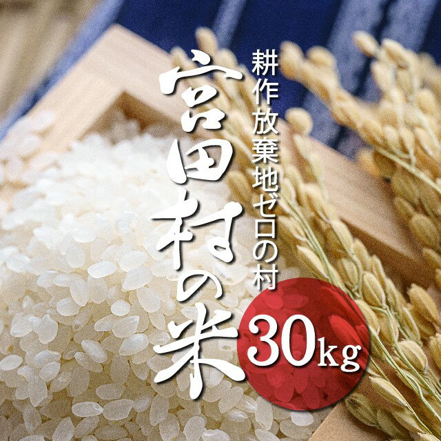 [予約受付][令和4年米]長野県産 減農薬栽培コシヒカリ/30kg/11月より順次配送、時期指定可能/玄米・精米選択可能