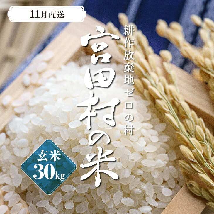 【ふるさと納税】【予約受付】【令和5年米】【新米】長野県産　減農薬栽培コシヒカリ／玄米／30kg・20,000円／11月配送のサムネイル