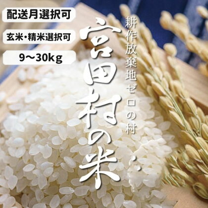 【予約受付】【令和6年米】【新米】長野県産　減農薬栽培コシヒカリ