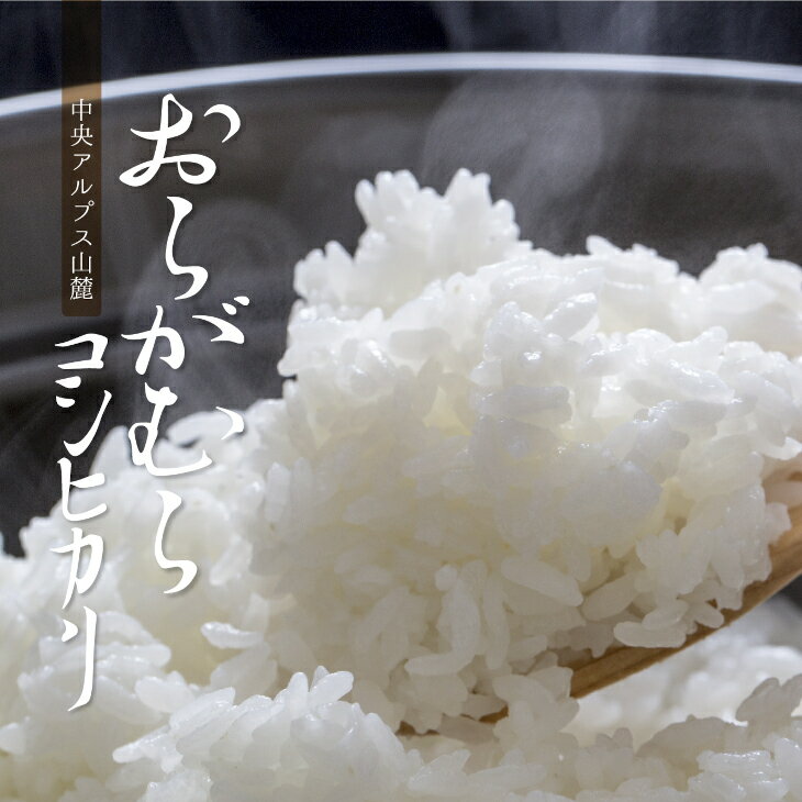 【ふるさと納税】【予約受付】【令和6年米】【新米】長野県産　減農薬栽培コシヒカリ