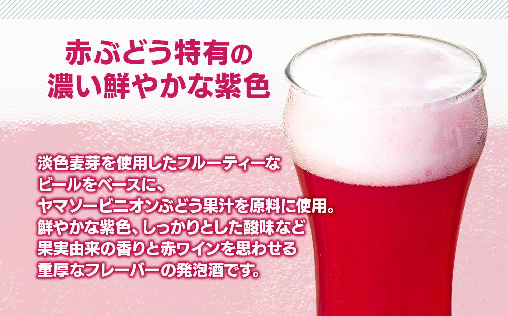 【ふるさと納税】南信州地ビール『ヤマソーホップ』6本セット