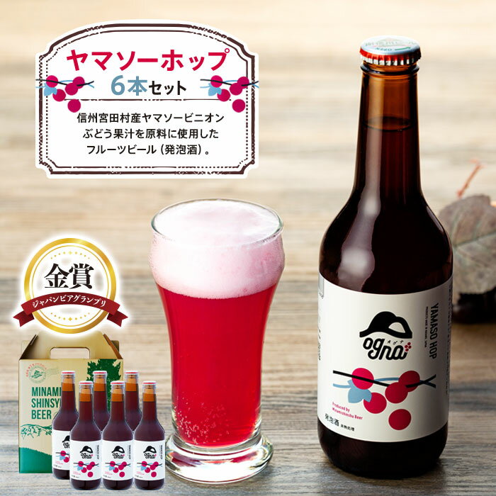 【ふるさと納税】南信州地ビール『