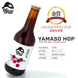 【ふるさと納税】南信州地ビール『ヤマソーホップ』6本セット【ラベル切替予定】 画像1