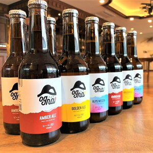 【ふるさと納税】南信州クラフトビール「Ogna」12本セット