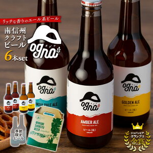 【ふるさと納税】南信州クラフトビール「Ogna」6本セット