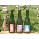 【ふるさと納税】「りんご屋すぎやま」のシードル3種類セット | 発泡 果実酒 飲料 果汁飲料 サイダー 飲み比べ セット 林檎 フルーツ 果物 お酒 さけ ギフト 上伊那 宮田村 長野 信州 ギフト 贈答 お祝い プレゼント 発泡酒 爽やか シードル お酒 くだもの ドリンク