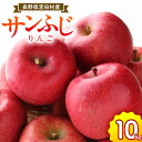 【ふるさと納税】サンふじリンゴ(10kg)(予約制)(りんご 林檎 フルーツ ビタミン 果物 くだもの 食品 上伊那 宮田村 長野 信州 甘い 新鮮 人気 ギフ...