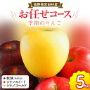 【ふるさと納税】季節のりんご『お任せコース』(5kg)(予約制)(りんご 林檎 フルーツ ビタミン 果物 くだもの 上伊那 宮田村 長野 信州 甘い 新鮮 人気 ギフト 贈答 特産品)