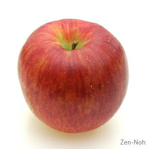 【ふるさと納税】季節のりんご『シナノスイート』（5kg）（予約制）