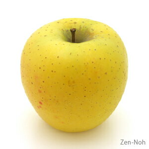 季節のりんご『シナノゴールド』(5kg)(予約制)