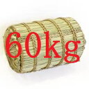 【ふるさと納税】減農薬栽培コシヒカリ一俵(60kg)