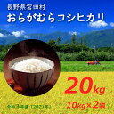 【ふるさと納税】中央アルプス山麓おらがむらコシヒカリ20kg