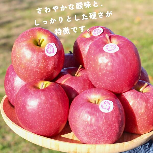 長野県松川町の画像2