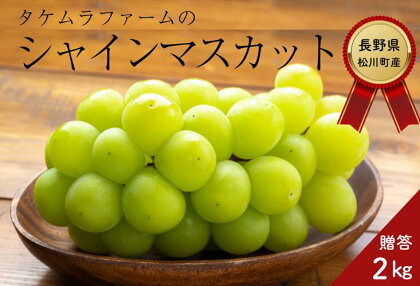 シャインマスカット 約2キロ ／2024年9月中旬頃配送 長野県松川町産 贈答 ギフト 種なし ぶどう シャイン マスカット　長野県 農業支援 TK02TK06