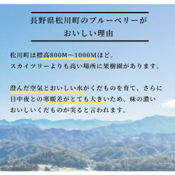 【ふるさと納税】＊先行予約＊朝摘みブルーベリー 1.2キロ 贈答用　大粒　2Lサイズ　スムージーにも 画像2