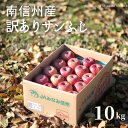 【ふるさと納税】南信州産 訳ありサンふじ 約10kg/11月下旬~12月中旬ごろ発送 長野県産 訳あり 家庭用 りんご サンフジ さんふじ