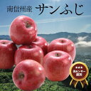 【ふるさと納税】りんご サンふじ 約5kg/11月下旬〜12月中旬ごろ配送 //長野県 南信州 贈答 ギフト お歳暮 ふじ フジ さんふじ 新鮮 林檎 リンゴ ...