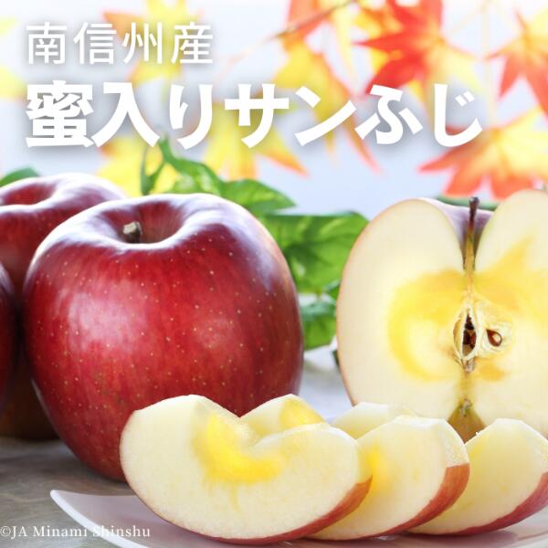 【ふるさと納税】＊先行予約＊南信州産 蜜入りサンふじ（小玉） 約2.5kg　りんご