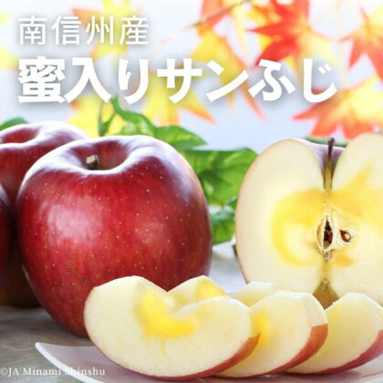 ＊先行予約＊南信州産 蜜入りサンふじ（小玉） 約2.5kg　りんご