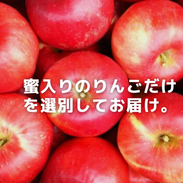 【ふるさと納税】＊先行予約＊南信州産 蜜入りサンふじ（小玉） 約2.5kg　りんご