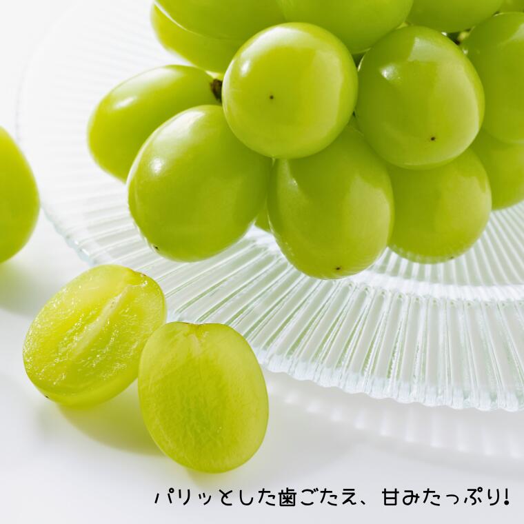 長野県松川町の画像2