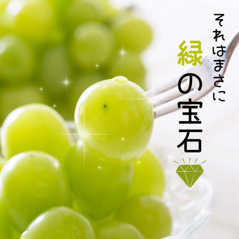 長野県松川町の画像3