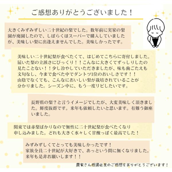 【ふるさと納税】梨 二十世紀 約4.7キロ ／2024年9月中旬頃配送～ 長野県 松川町産 贈答 和梨 20世紀梨 20世紀梨 KW02